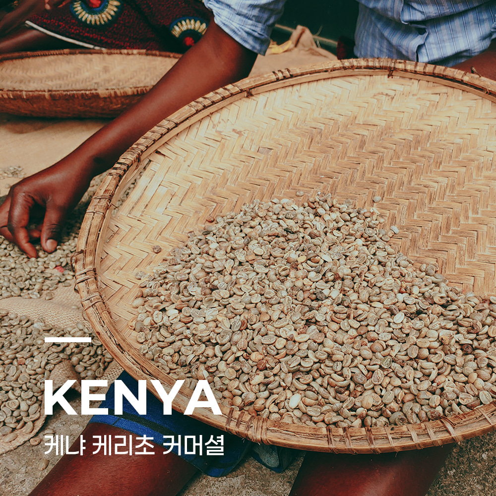 캅카와 커피생두 케냐 케리초 커머셜 10kg