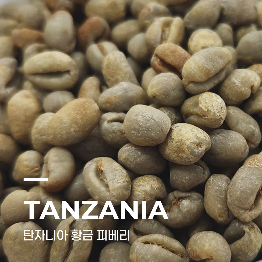 캅카와 커피생두 탄자니아 황금 피베리 내추럴 1kg